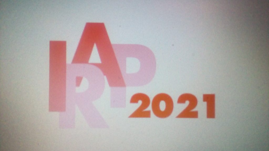 Modello Irap 2021 Metaping